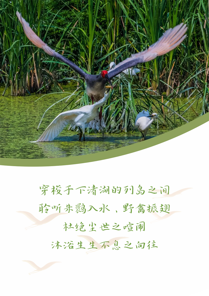心心念廿 相伴EVO真人视讯 | 与德清相约 贺廿载诞辰